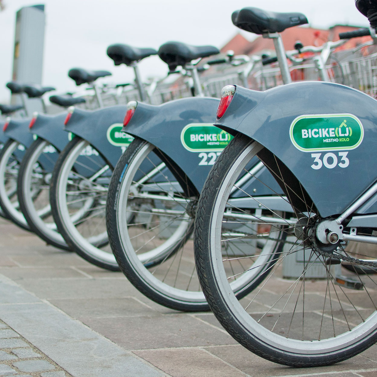 Eine Reihe von städtischen Leihfahrrädern mit grauen Schutzblechen und dem Logo 'Bicike(LJ)' steht geordnet auf einem Fahrradparkplatz. Die Räder sind sauber und gut gepflegt, und im Hintergrund sind weitere Fahrräder und ein Gebäude mit roten Dächern zu sehen