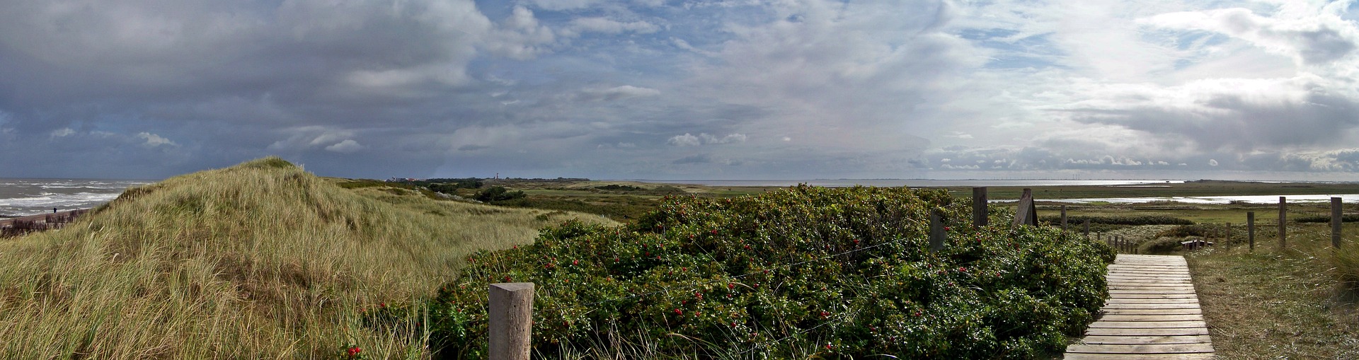 Eine Dünenlandschaft, bewachsen mir Dünengras und Hagebuttensträucher. Ein Holzweg verläuft an den Sträuchern entlang. Links ist das Meer zu sehen und der Hoorizont ist ein bewegter Wolkenhimmel