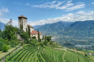 Das Bild zeigt eine malerische Landschaft mit einer historischen Burg oder einem Schloss, das auf einem Hügel thront. Das Gebäude besteht aus einem markanten, hohen Turm und mehreren roten Ziegeldächern. Die Anlage ist von grünen Bäumen und gepflegten Gartenanlagen umgeben. Den Hang hinab erstrecken sich terrassenförmig angelegte Weinberge mit saftig grünen Reben. Im Hintergrund eröffnen sich weite Blicke ins Tal mit vielen Feldern und kleinen Orten, und dahinter ragen majestätisch die blauen Berge empor. Der Himmel ist leicht bewölkt, aber überwiegend sonnig.