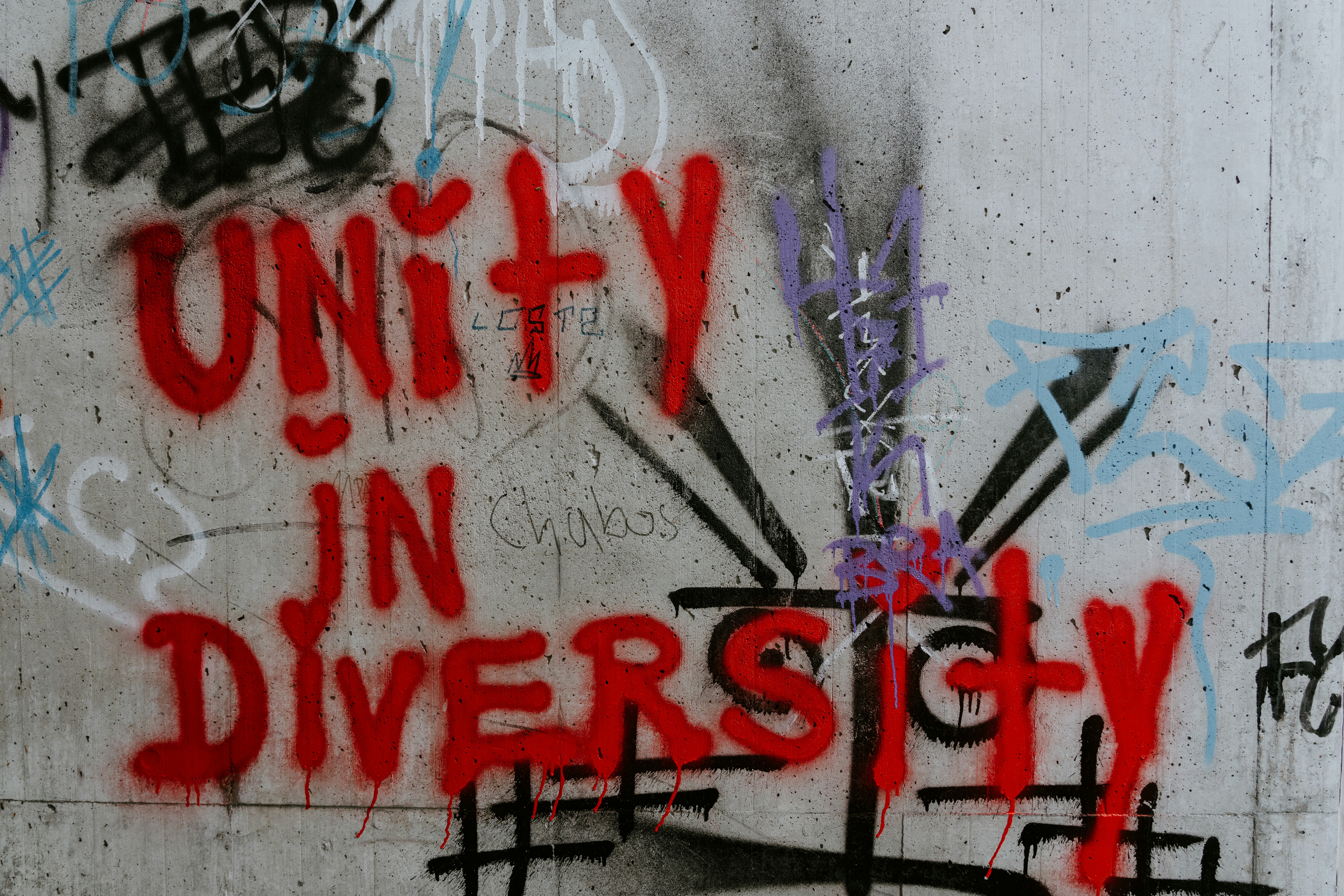 Graffiti mit der Aufschrift „Unity in Diversity“ auf einer Betonwand. Die Botschaft „Einheit in Vielfalt“ steht im Mittelpunkt und verweist auf die Bedeutung von Zusammenhalt, Respekt und dem konstruktiven Umgang mit unterschiedlichen Perspektiven in einer vielfältigen Gesellschaft.